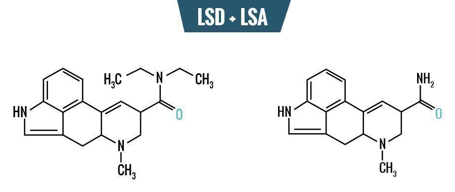 LSD vs. LSA &ndash; rozd&iacute;ly