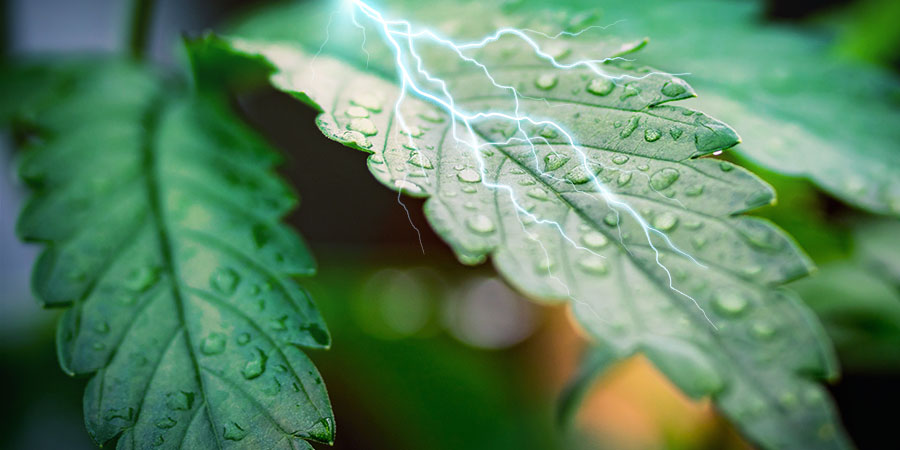 Vlhkost a vysok&eacute; teploty