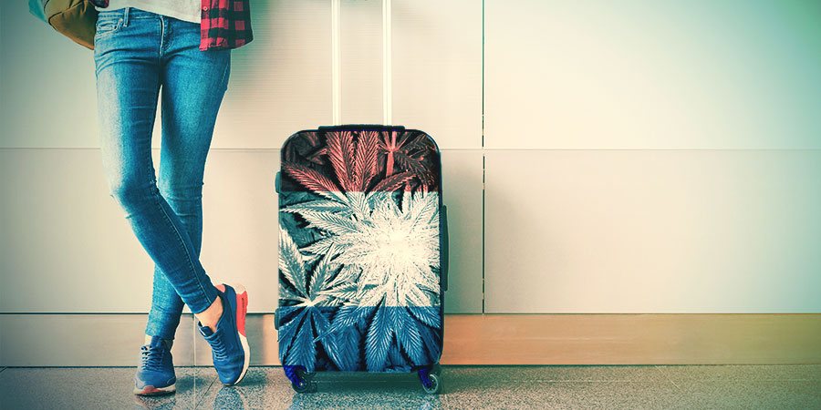 Pohled na historii odrůd Cheese