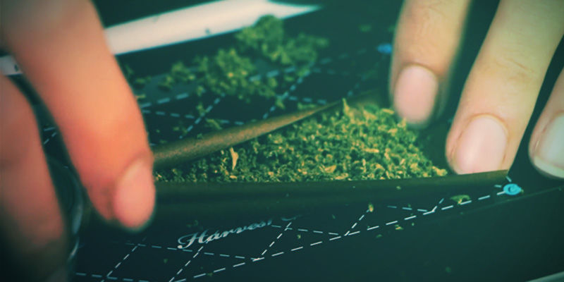 NAVLHČETE WRAP A NAPLŇTE HO