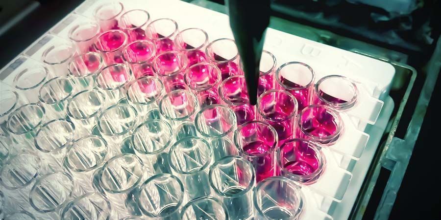 Co zji&scaron;ťuj&iacute; testy na drogy?