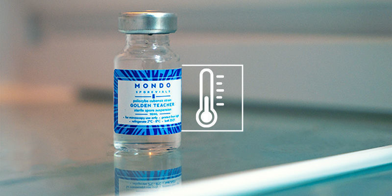 How long do spore vials last?