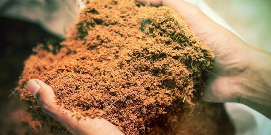 PŘ&Iacute;PRAVA KOKOSU NA DAL&Scaron;&Iacute; POUŽIT&Iacute;