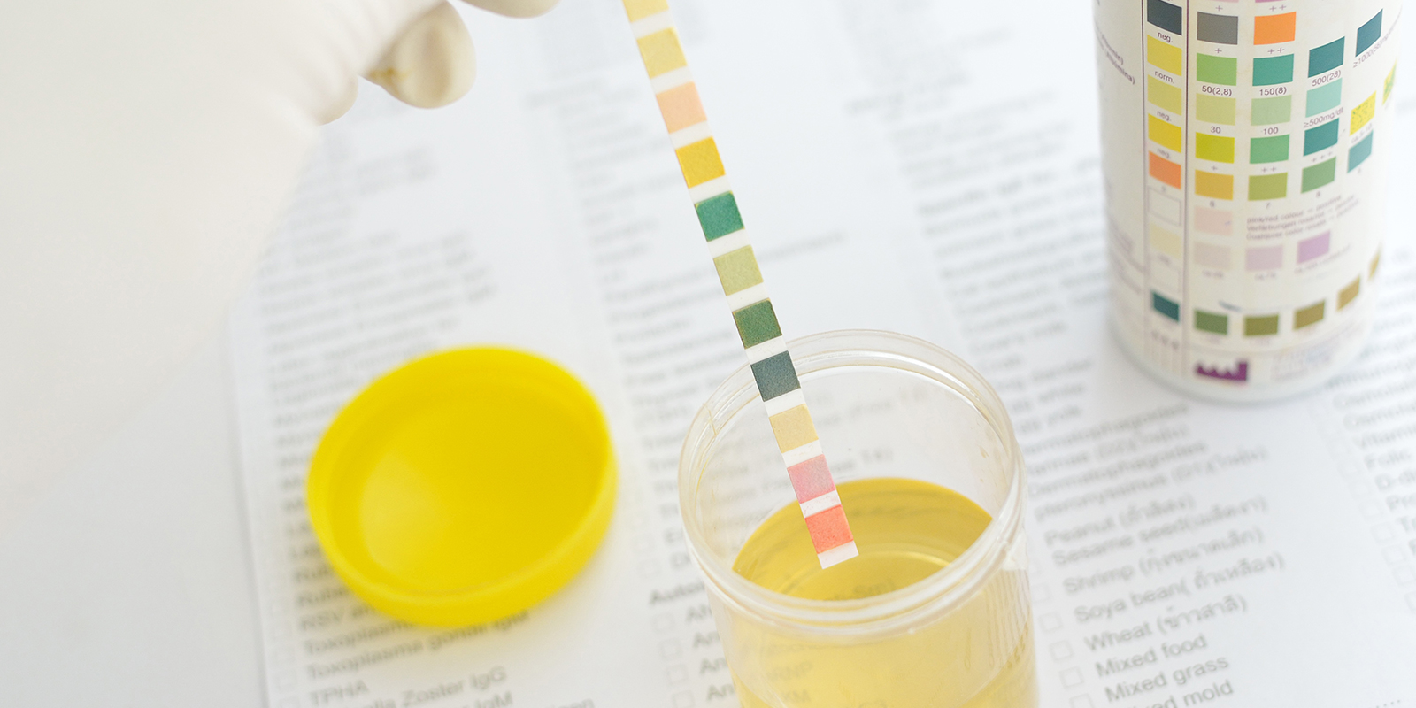 Polopravdy: detox n&aacute;poje, z&aacute;měna vzorku & syntetick&aacute; moč