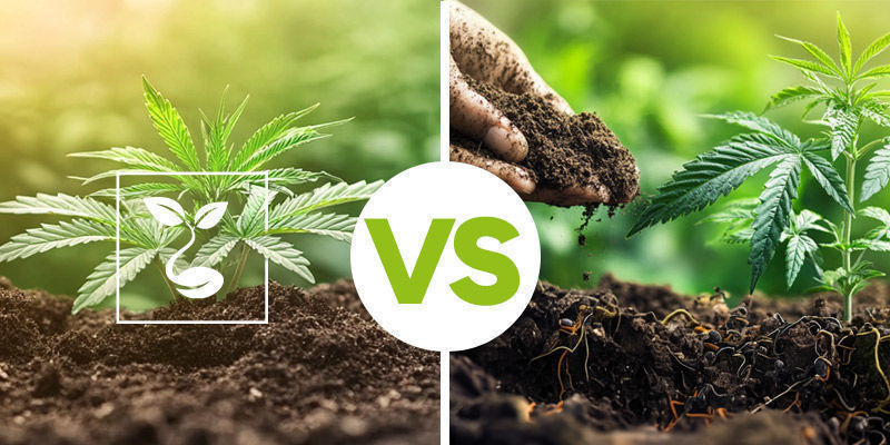 Jak&yacute; je rozd&iacute;l mezi živou půdou a běžnou zeminou?