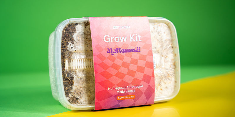 Fresh Mushrooms Grow Kit &ldquo;McKennaii&rdquo;