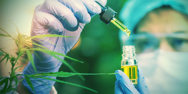 Pr&eacute;miov&aacute; kvalita CBD