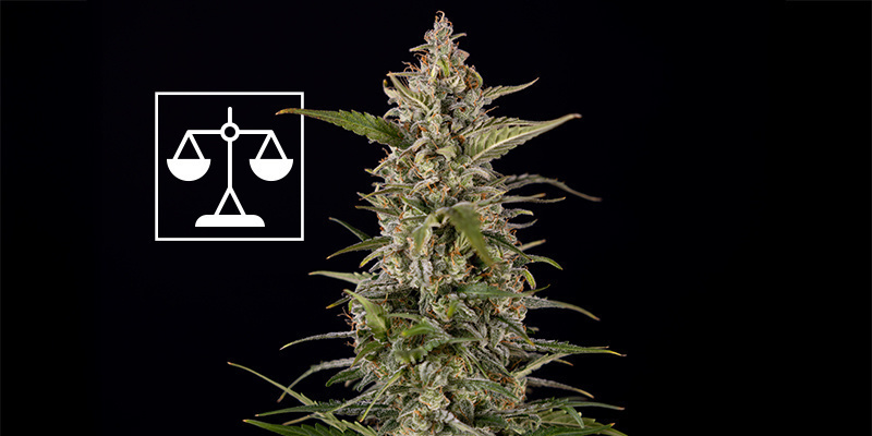 Choosing your balance