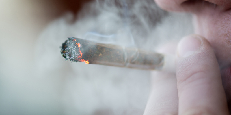 Způsobuj&iacute; odrůdy s poměrem 1:1 THC opojen&iacute;?