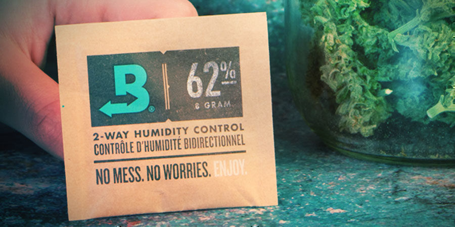 Boveda a jej&iacute; posl&aacute;n&iacute;