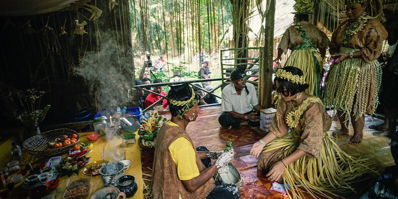 Př&iacute;nosy a &uacute;činky rap&eacute;