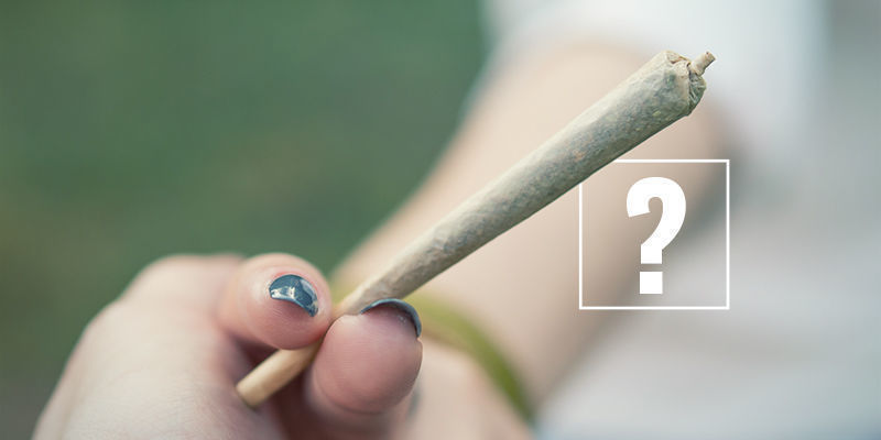 Měli byste se ob&aacute;vat klinick&eacute;ho deficitu endokanabinoidů?