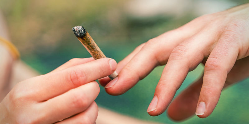 Co přesně je endokanabinoidn&iacute; syst&eacute;m?