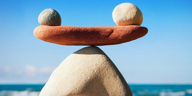 Proč je homeost&aacute;za důležit&aacute;