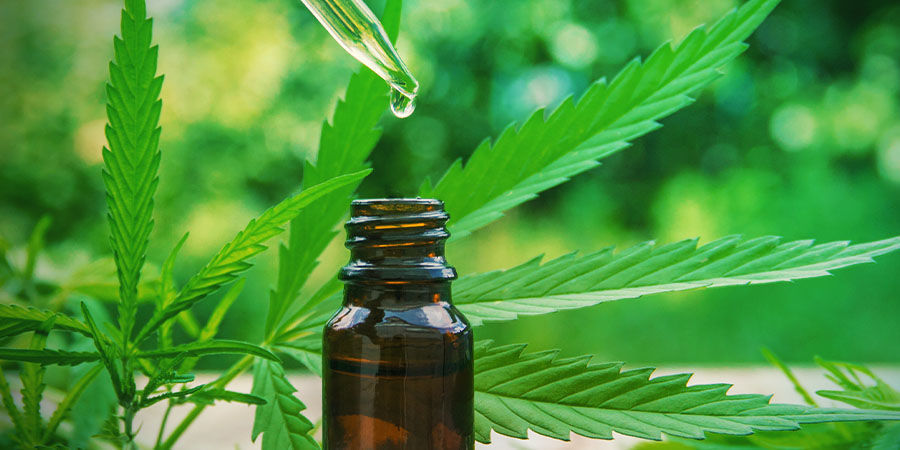 CBD Fix Auto: Radost pro l&eacute;čebn&iacute; pěstitel&eacute;