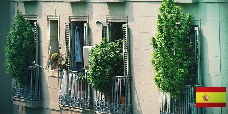 DAL&Scaron;&Iacute; ZAST&Aacute;VKA KONOPN&Eacute; TOUR: &Scaron;PANĚLSKO!