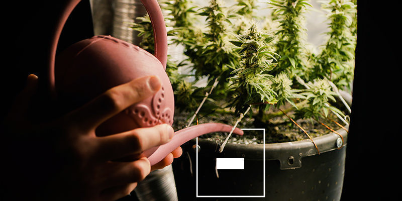 Recirkulačn&iacute; vs. odtokov&eacute; syst&eacute;my: jak&eacute; jsou nev&yacute;hody?