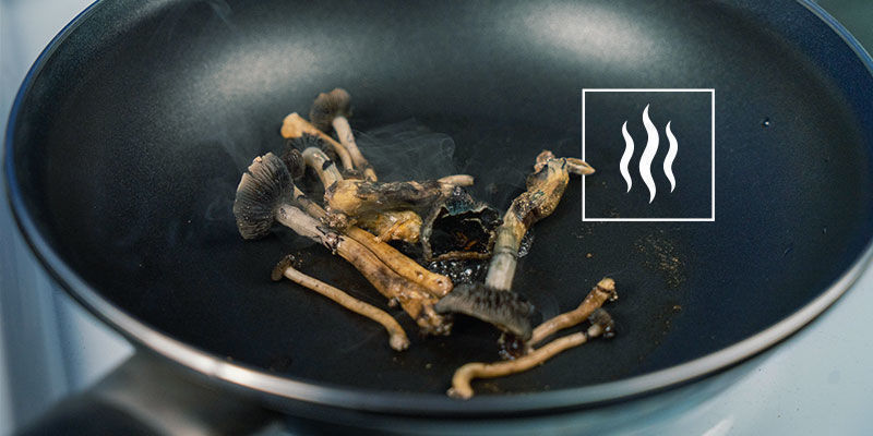 Teplo, psilocybin a potence