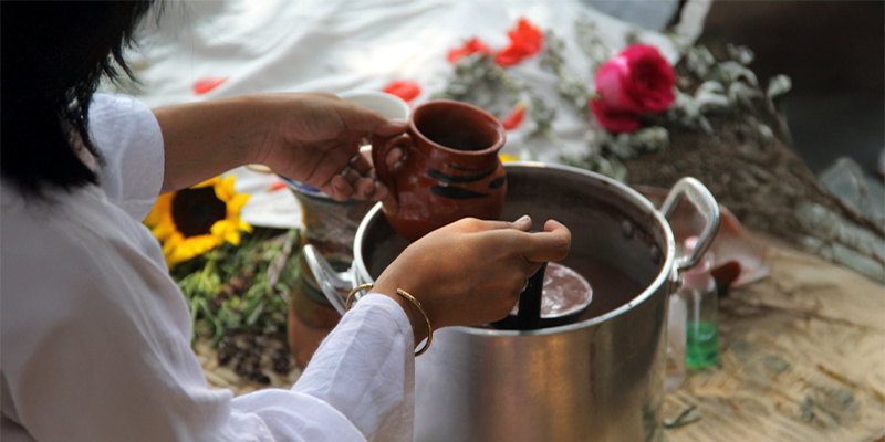 Jak d&aacute;l: Porozumět ayahuasce s jasnost&iacute;