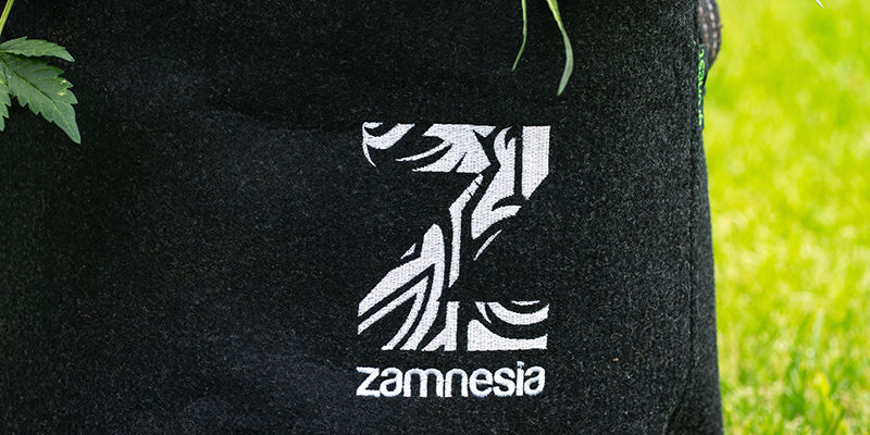 KOUPIT NEBO SI VYROBIT VLASTN&Iacute; SMART POT?