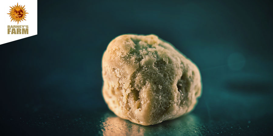 Nejlep&scaron;&iacute; ha&scaron;i&scaron; - Barney's Coffeeshop Amsterdam