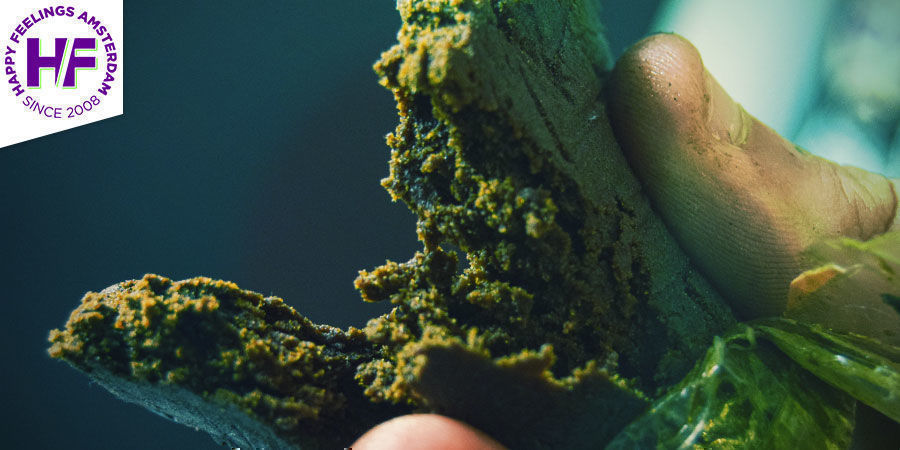 Nejlep&scaron;&iacute; ha&scaron;i&scaron; &ndash; coffeeshop Happy Feelings Amsterdam