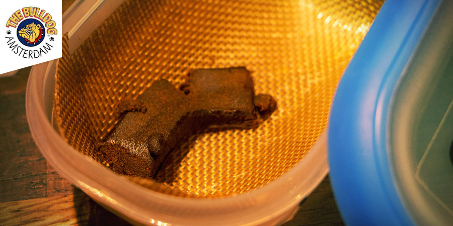 Nejlep&scaron;&iacute; ha&scaron;i&scaron; &ndash; coffeeshop The Bulldog Amsterdam