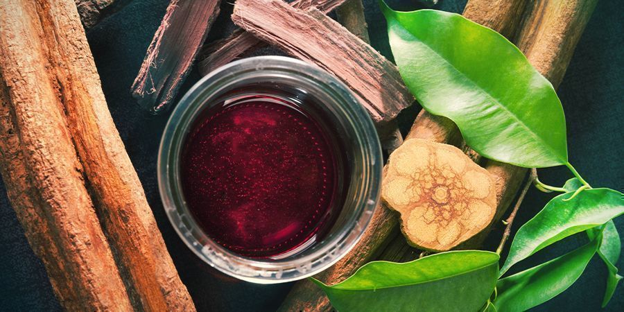 Připraven&aacute; Banisteriopsis caapi k použit&iacute;