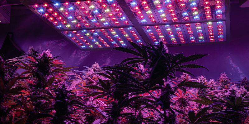 Zač&aacute;tek kveten&iacute;