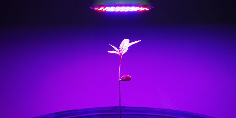 Vzd&aacute;lenost a um&iacute;stěn&iacute; světel