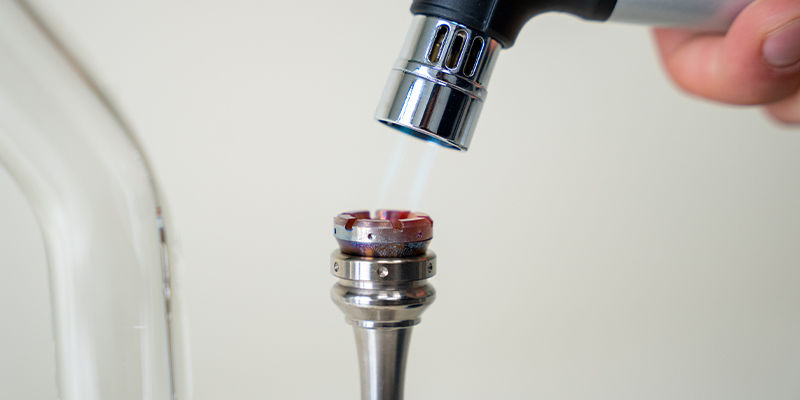 Dabov&aacute;n&iacute;: ž&aacute;ruvzdorn&yacute; hřeb&iacute;k