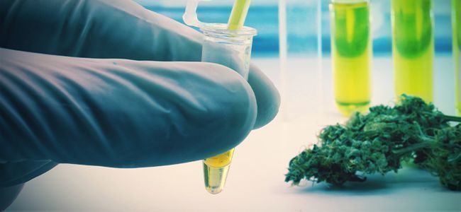 PROCES EXTRAKCE ROZPOU&Scaron;TĚDLEM