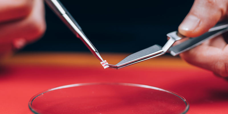 Kter&eacute; drogy způsobuj&iacute; smrt ega?