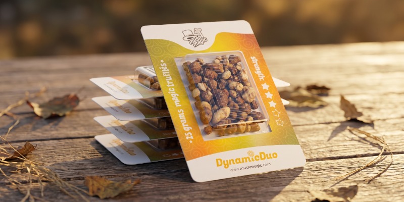 Co Dělá Dynamic Duo Výjimečným? Co Dělá Dynamic Duo Výjimečným?