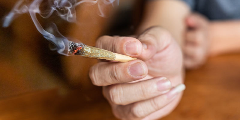 Porozuměn&iacute; &uacute;činkům konop&iacute;