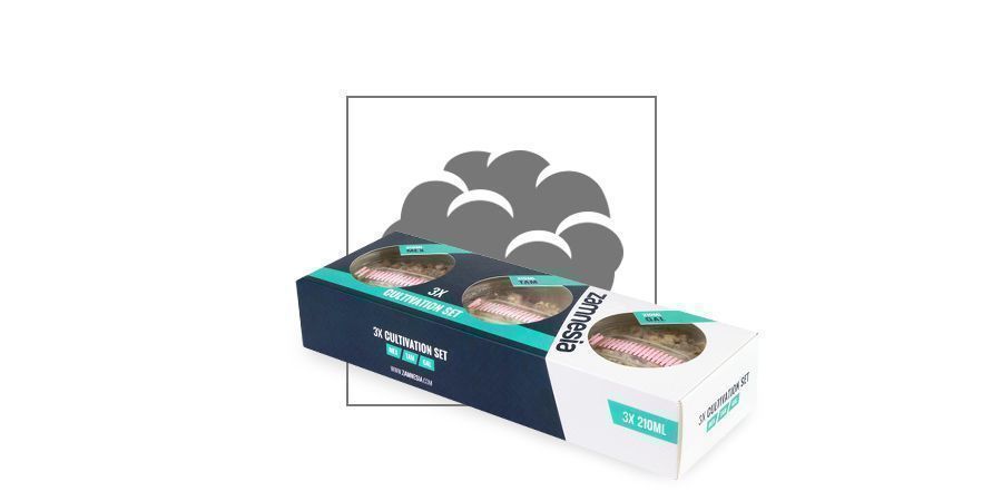 Pěstebn&iacute; sada magick&yacute;ch lan&yacute;žů Zamnesia