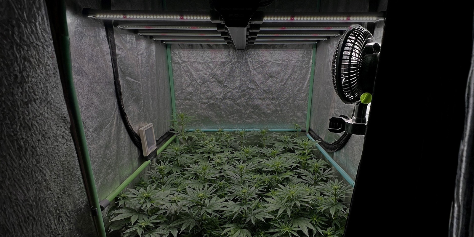 Udržujte vyv&aacute;ženou vlhkost, abyste přede&scaron;li pl&iacute;sni