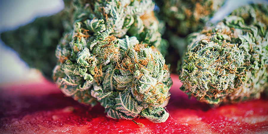 NEJLEP&Scaron;&Iacute; ODRŮDY KONOP&Iacute; PRO MEDITACI