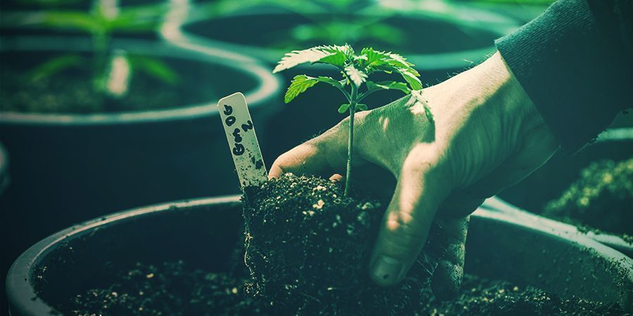 JEDNODUCH&Yacute; TRIK, KTER&Yacute; USNADN&Iacute; PŘESAZOV&Aacute;N&Iacute;