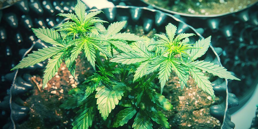 KDY POTŘEBUJI PŘESAZOVAT?