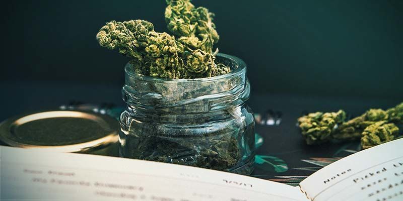 Kdo je Dr. Lester Grinspoon?