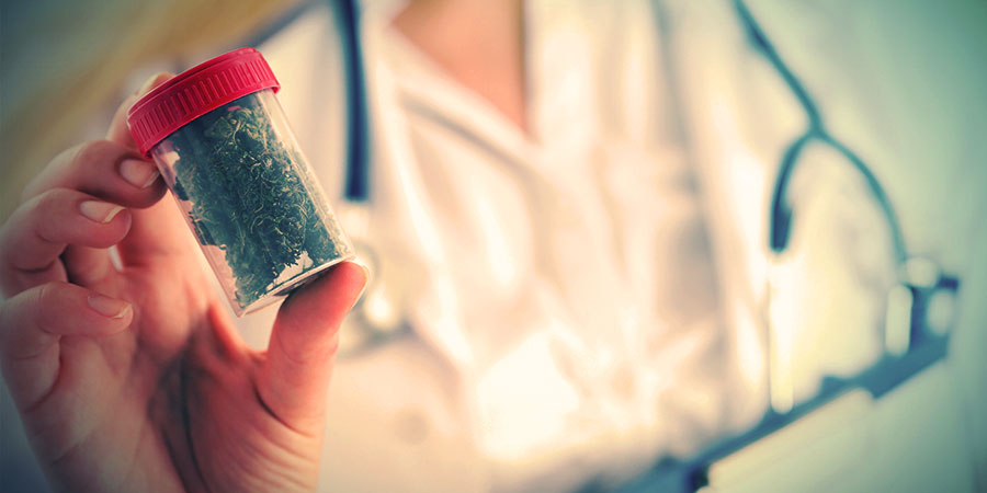 Důležitost alternativn&iacute;ch zdrojů kanabinoidů