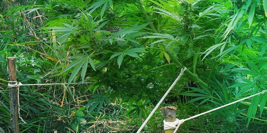 LST: TECHNIKY N&Iacute;ZKOSTRESOV&Eacute;HO TR&Eacute;NINKU