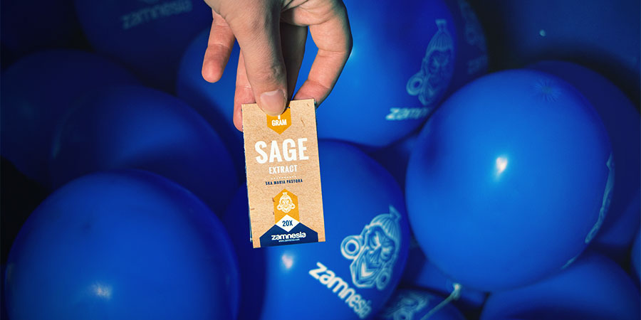 Zobrazit Salvia divinorum