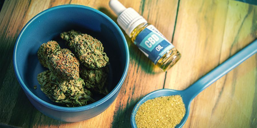 Verdikt: Možn&aacute; superkapela