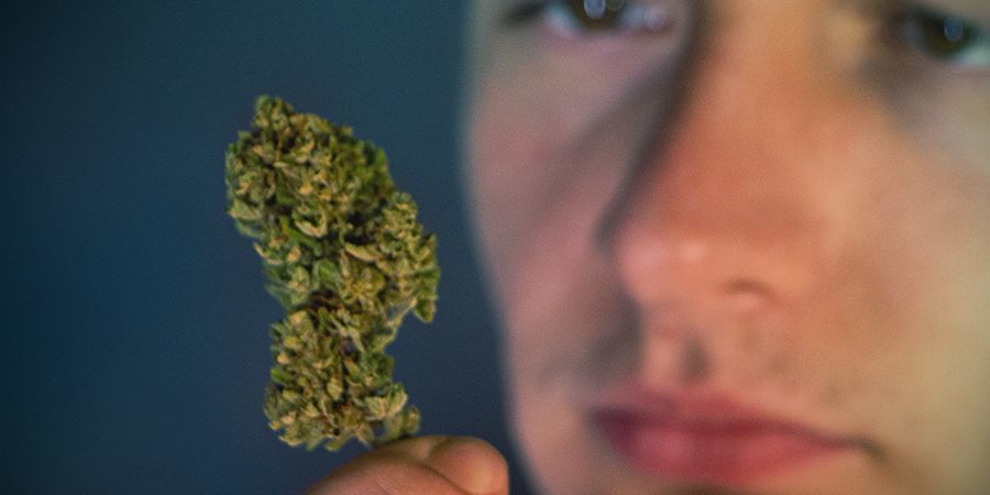 Rozpozn&aacute;n&iacute; star&eacute; tr&aacute;vy