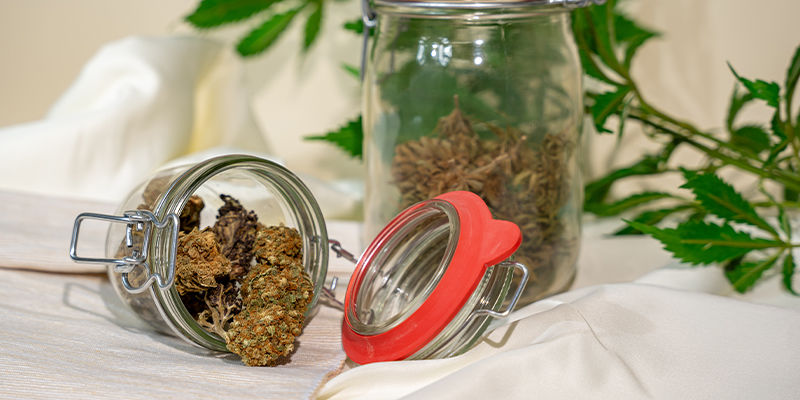 Co je odvětr&aacute;v&aacute;n&iacute; a proč byste měli odvětr&aacute;vat sv&eacute; květy?