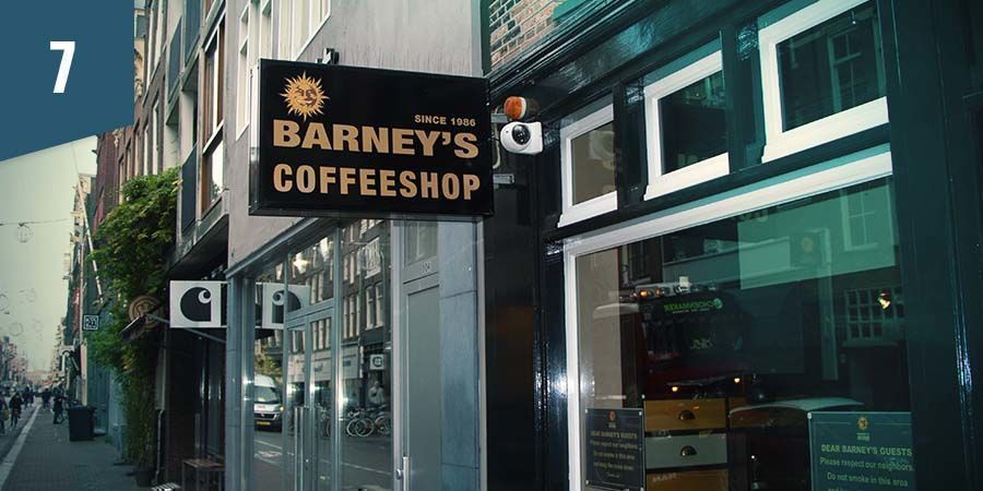 Barney's Coffeeshop Amsterdam - Nejlep&scaron;&iacute; indica květy