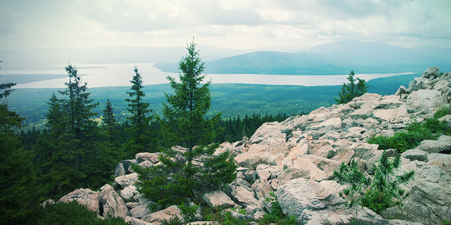 Indica konop&iacute;: co to je