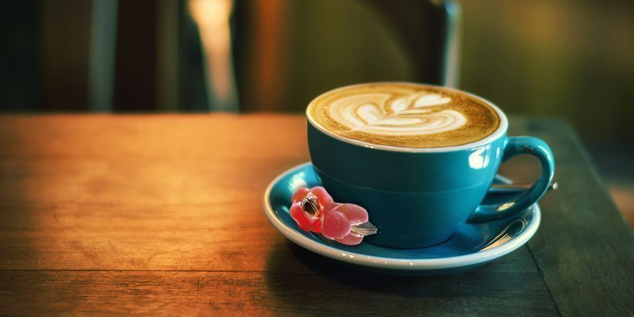 Jak&eacute; jsou &uacute;činky rostliny Ephedra?